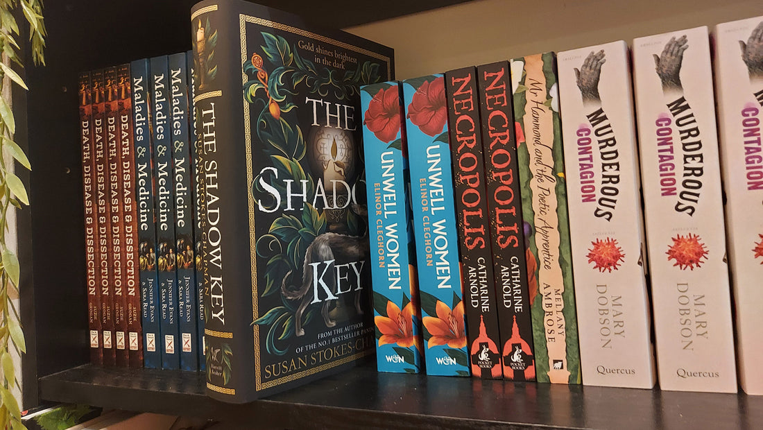 The Shadow Key by Susan Stokes-Chapman