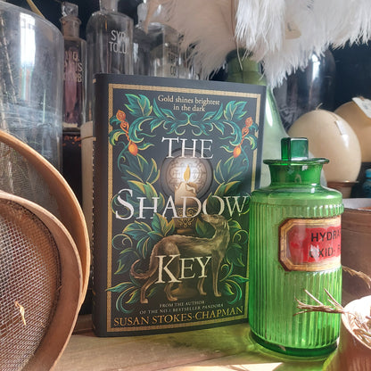A copy of The Shadow Key next to glass bottles in the museum