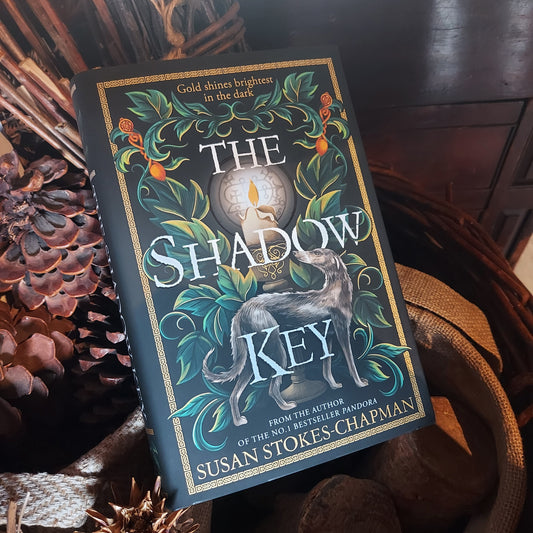 The shadow key by Susan Stokes-Chapman