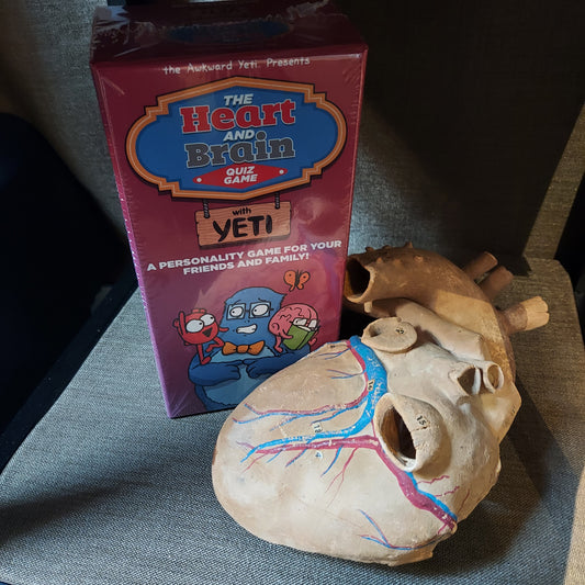 The Heart and Brain Quiz Game box next to an anatomical heart model from the museum's collection