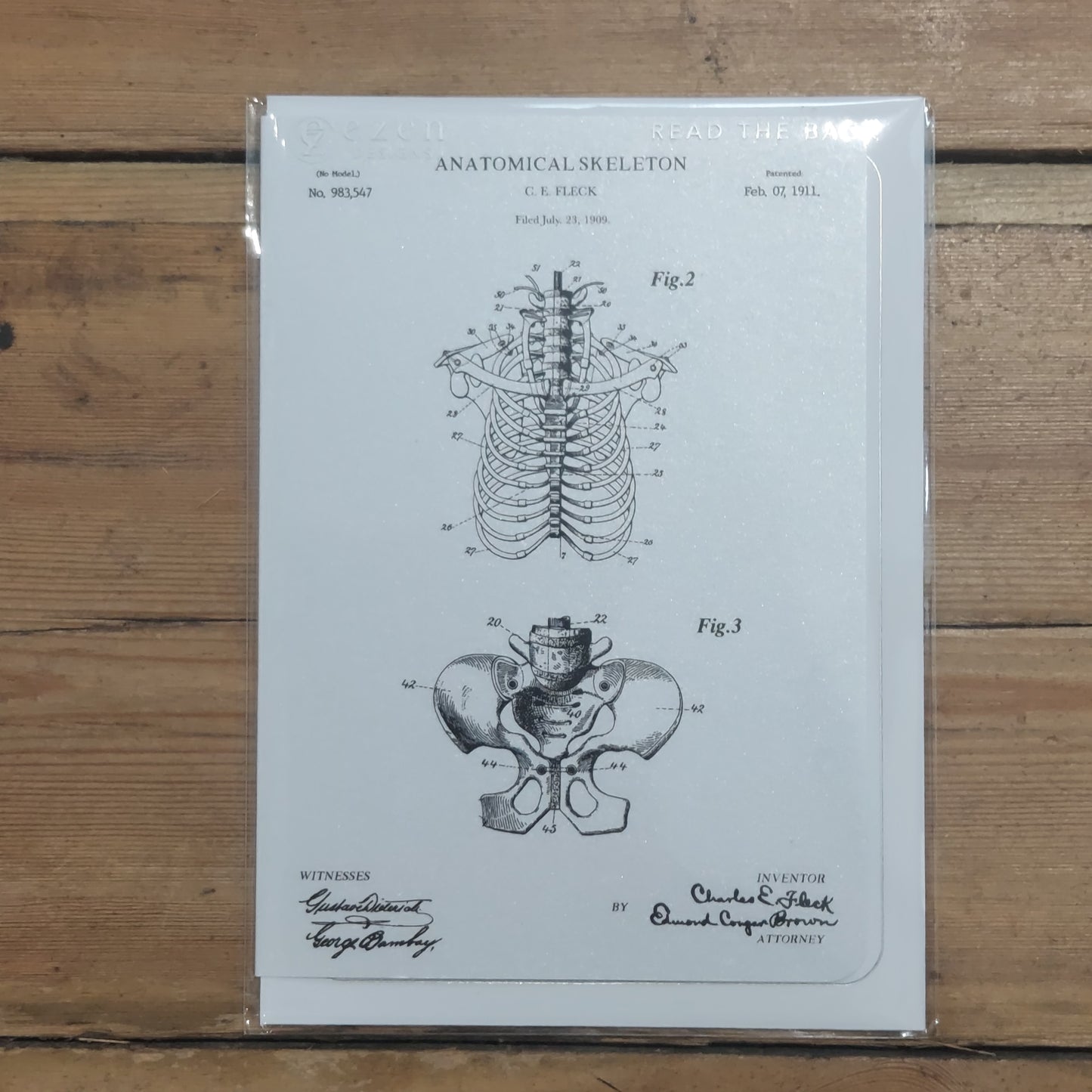 A white card with two numbered anatomical illustrations, one of the spine, ribs, collar bone and shoulder blades, and one of the pelvic bones