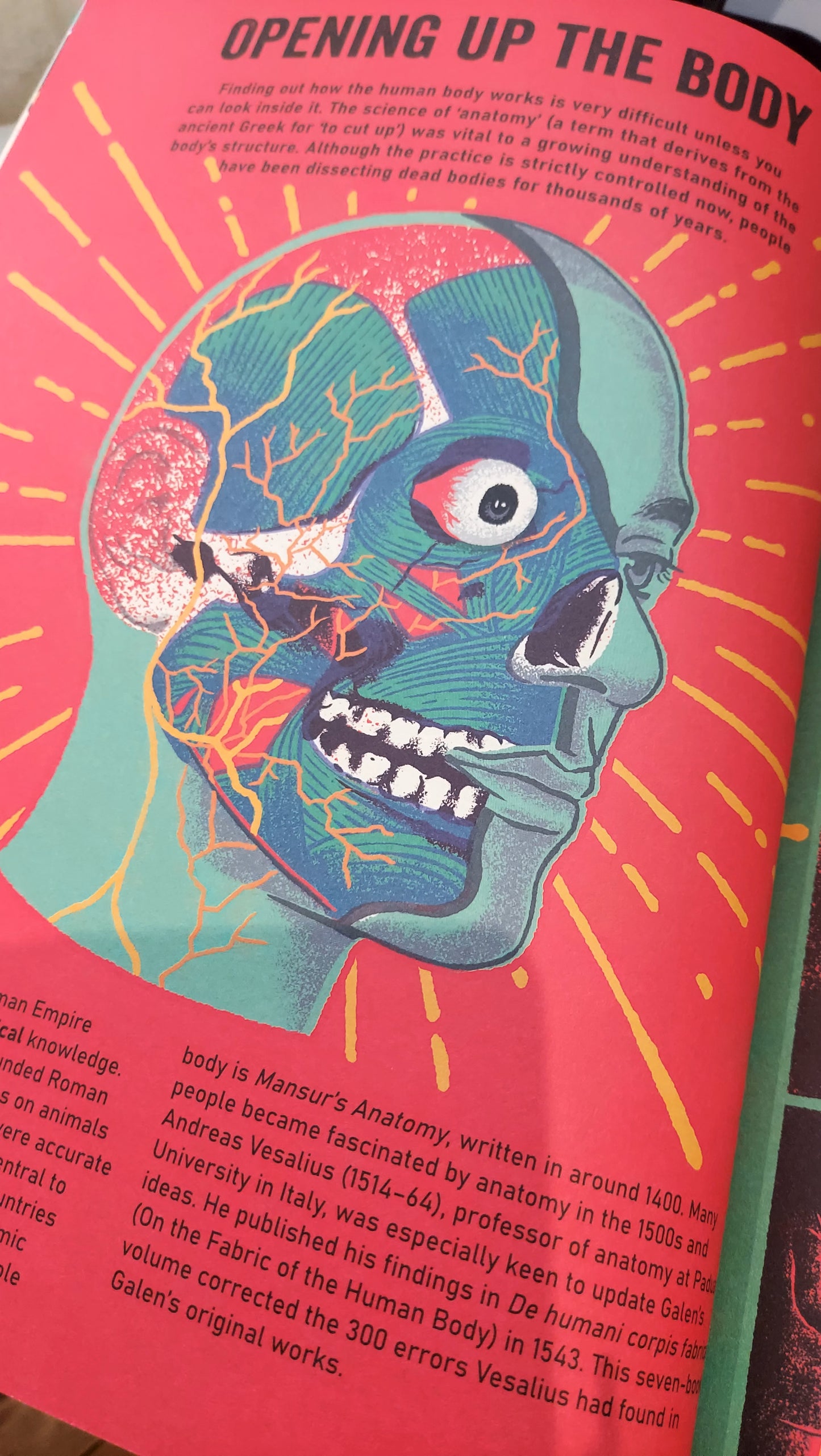 Photo of a page of the book called Opening up the body, with a red background and an illustration in the centre of a cut-away head showing veins, muscles etc.