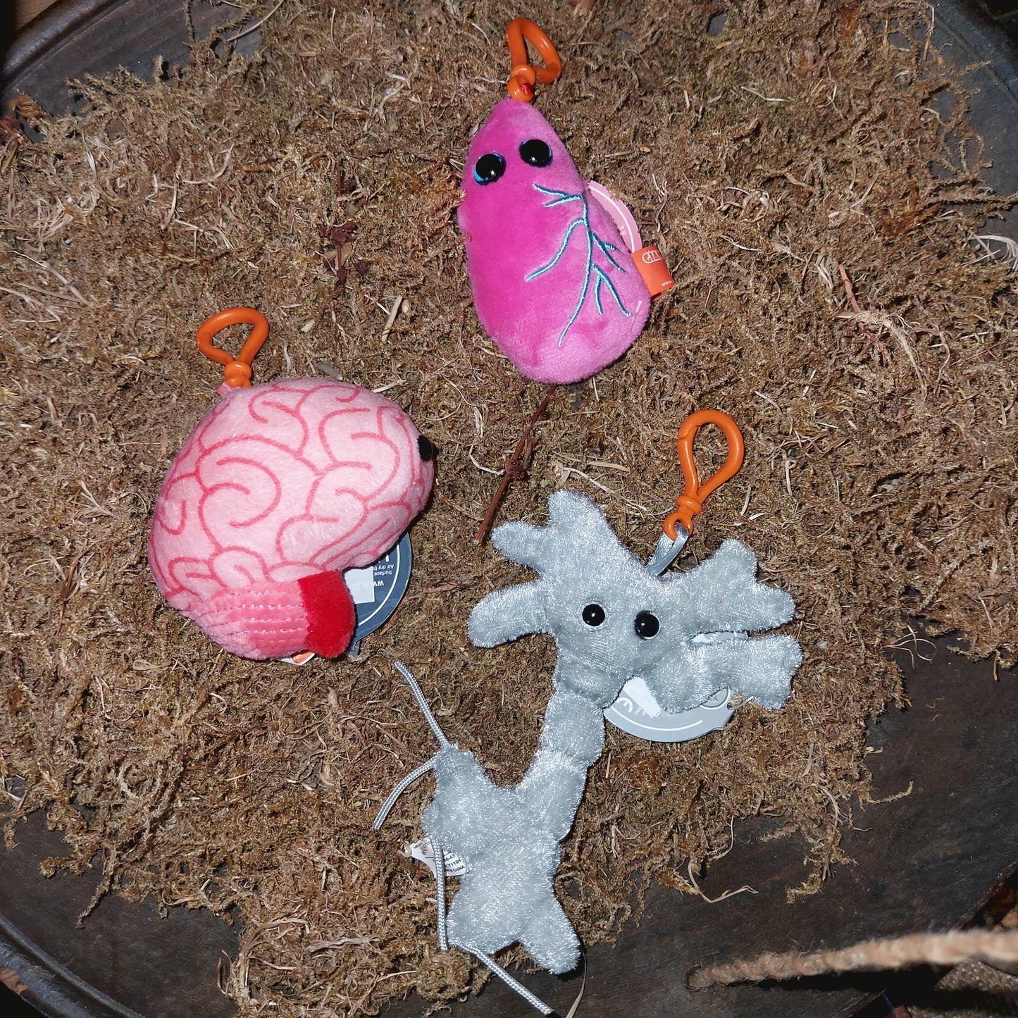 Giant microbes Brain keychain