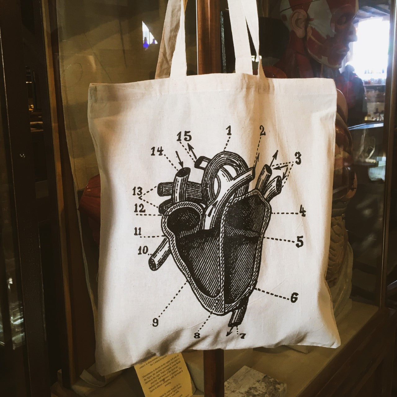 A tote bag with a labelled anatomical heart illustration hanging next to an anatomical model in the museum