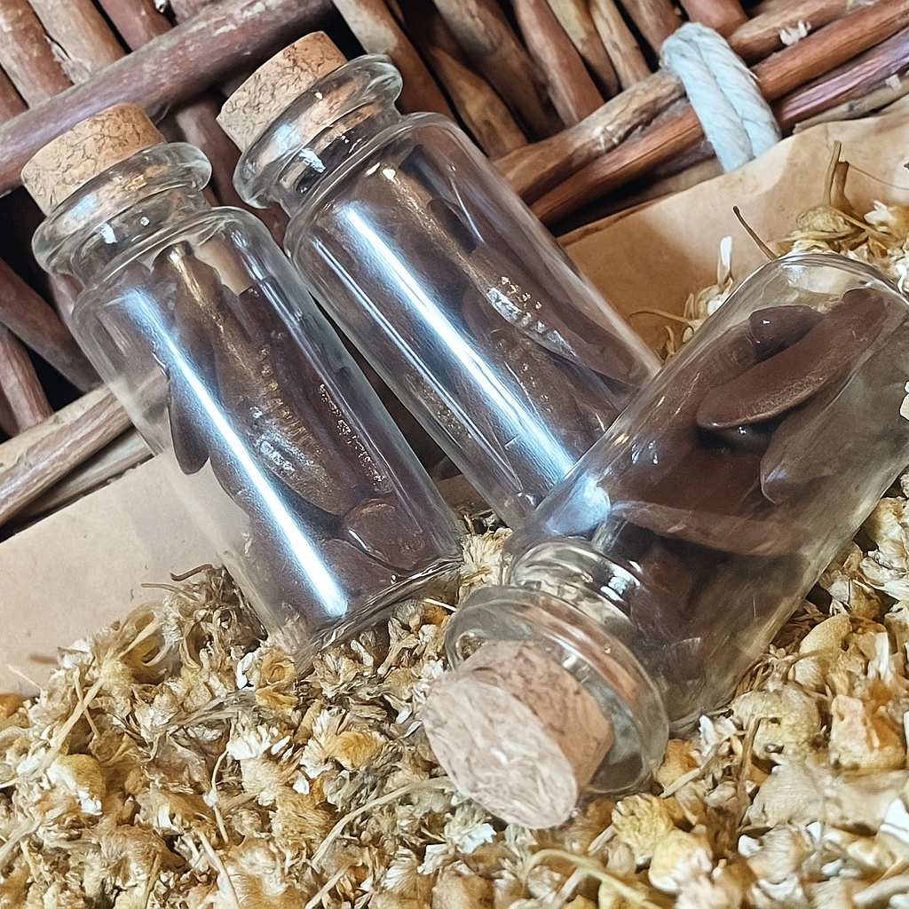 Three small glass bottles with cork lids filled with edible leeches, on a bed of dried flowers and herbs.