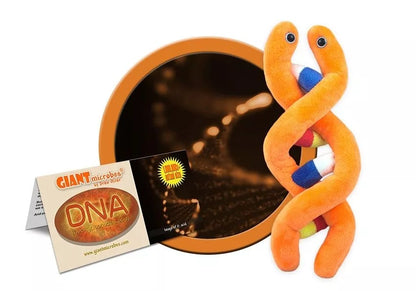 Orange DNA helix plush next to its label