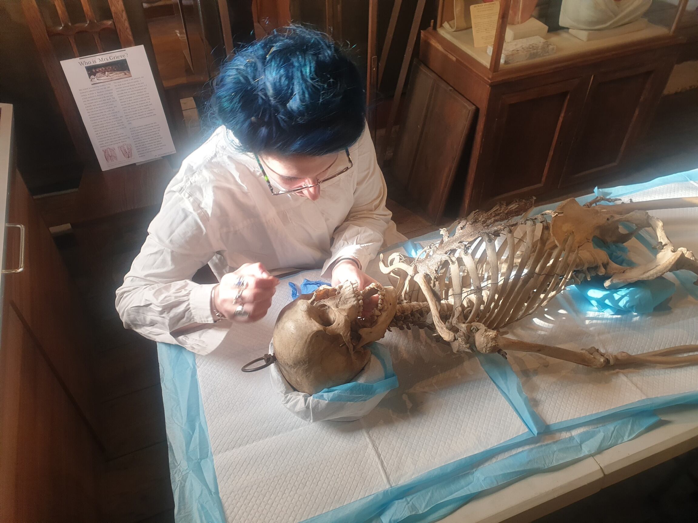 A woman with blue hair and wearing a white coat examines a skeleton, lying flat on a covered table