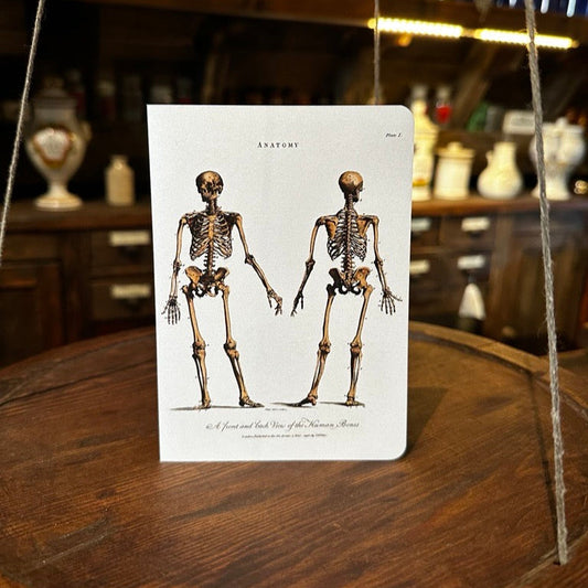 Study of Skeletons Front (1881) Greeting Card