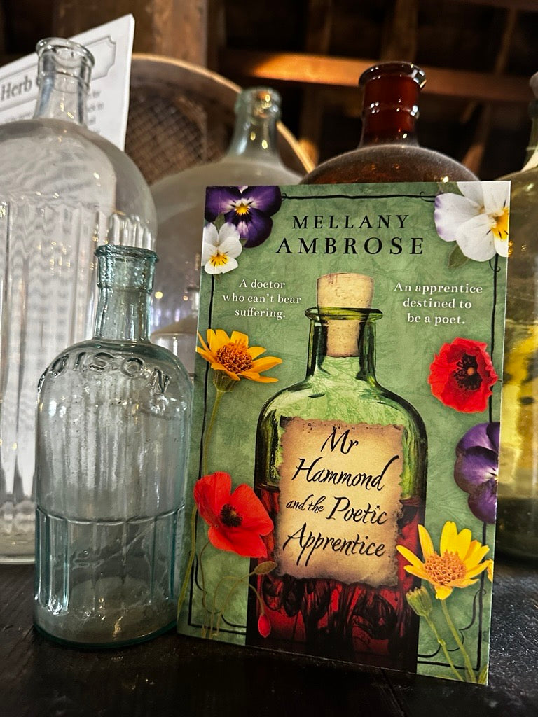 Mr Hammond and the Poetic Apprentice by Mellany Ambrose