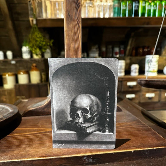 Vanitas Still Life In A Niche Greeting Card