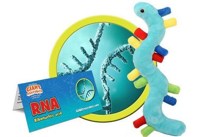 Blue plush RNA against an image of real RNA