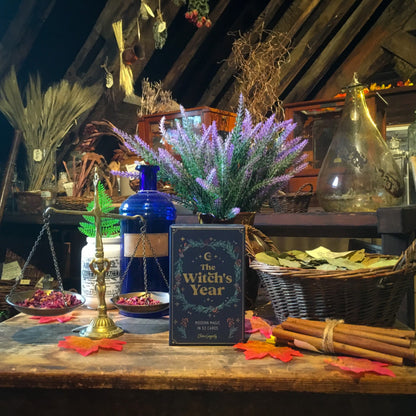 The Witch's Year box in the museum on a wood table, next to orange leaves, green bay leaves, cinnamon sticks, rose petals, and a blue apothecary bottle.