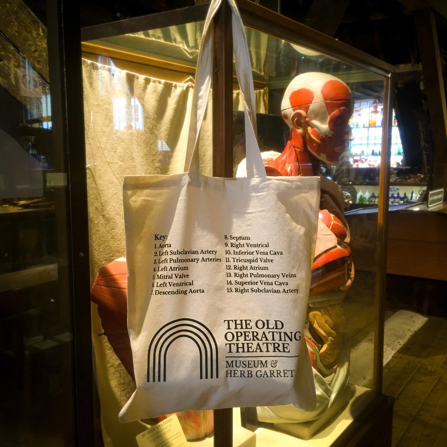 Anatomical Heart Tote Bag