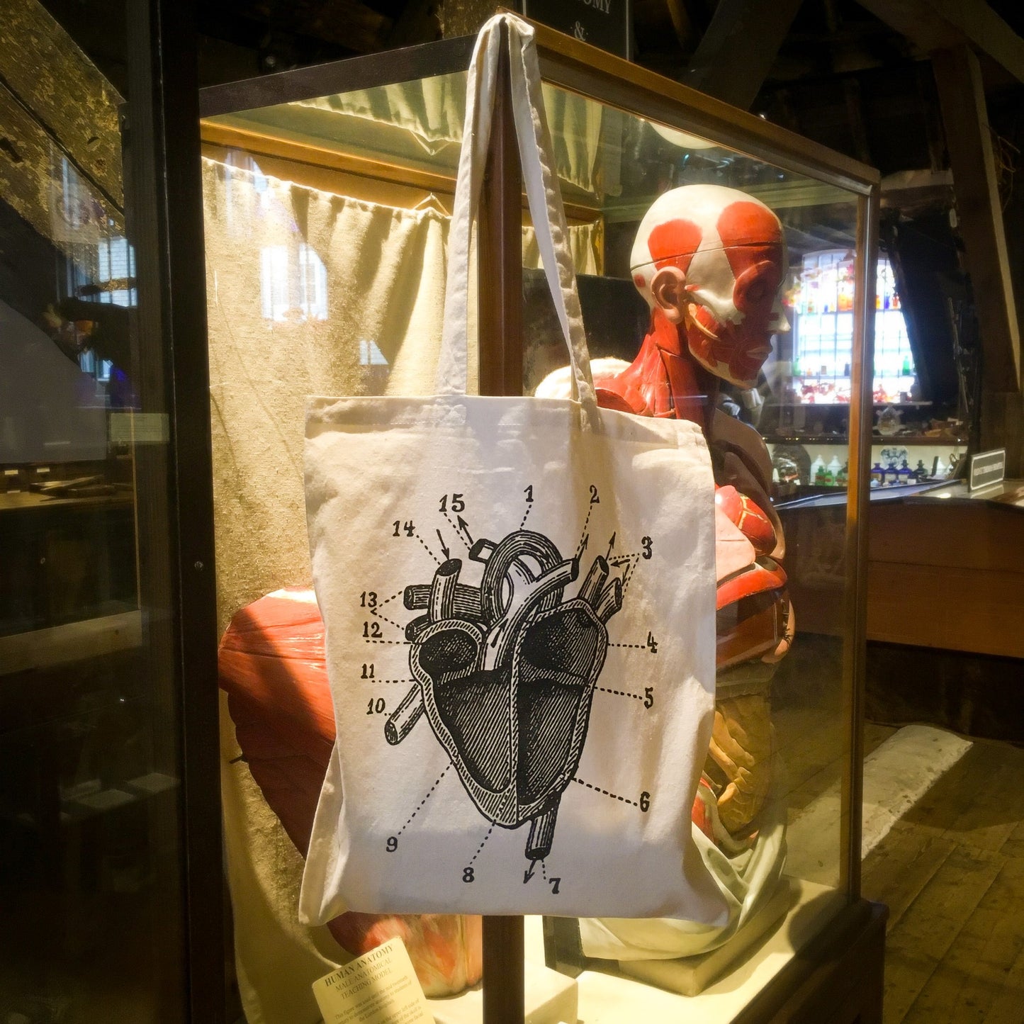 Anatomical Heart Tote Bag