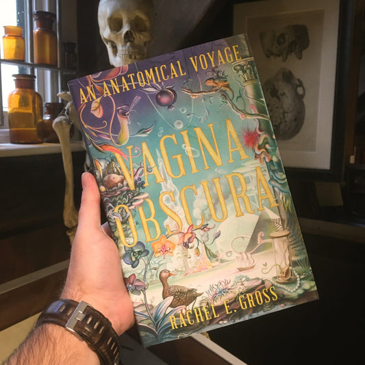 The book Vagina Obscura held up in the museum in front of a skeleton and some amber glass jars on a window sill