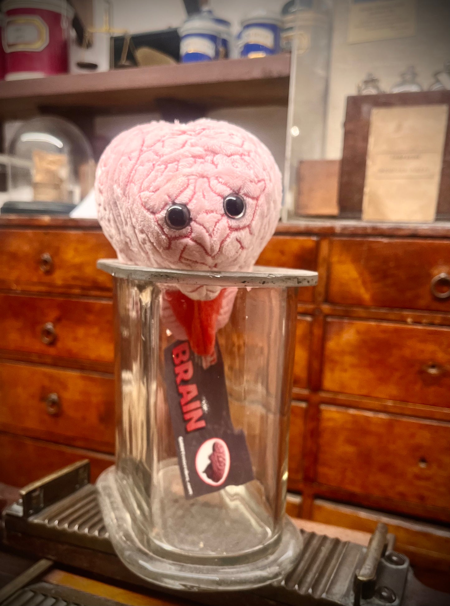 Giant Microbes Brain Plush