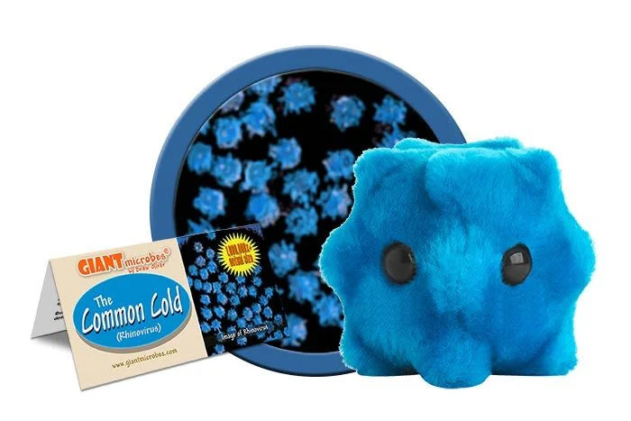 Giant Microbe: Common Cold (Rhinovirus)