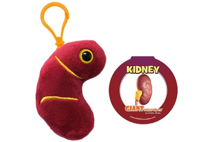 Giant Microbes: Kidney Keyring