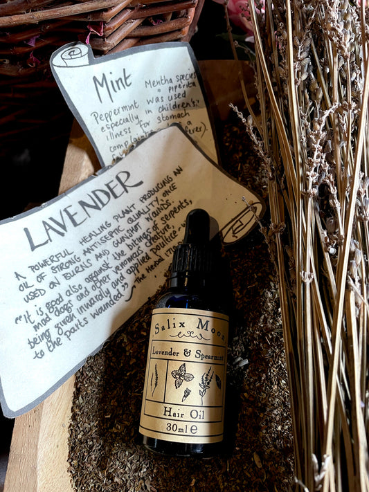 A bottle of Salix Moon Lavender and spearmint hair oil next to dried lavender and mint in the museum's herb garret, along with their labels