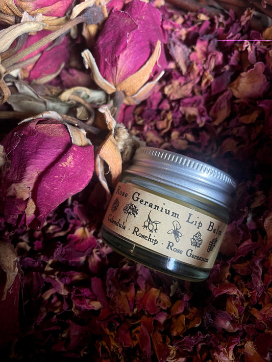 A pot of rose geranium lip balm on a bed of rose petals