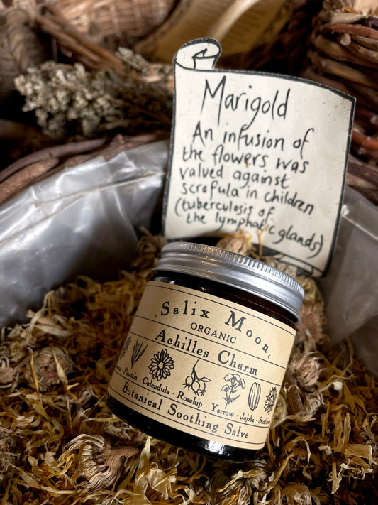 A pot of Salix Moon Achilles Charm salve in a basket of dried marigold flowers