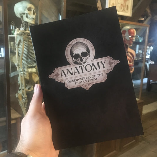 Black notebook with illustration of a skull and text: Anatomy. Observations of the human form.