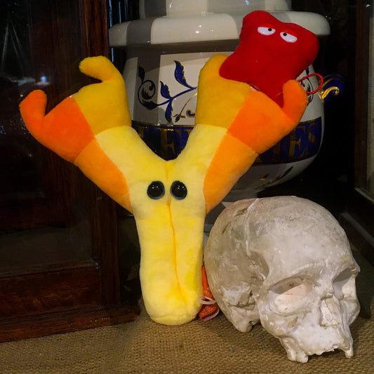 A yellow, orange and red plush in the shape of an antibody, next to a skull in the museum