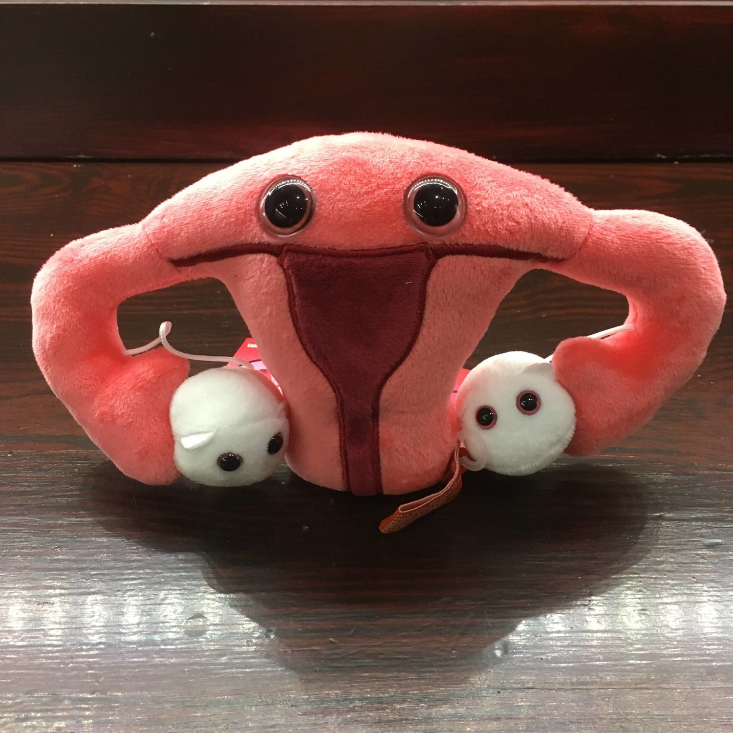 Pink plush toy in the shape of a uterus with white egg cells