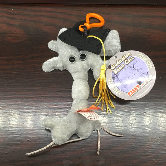 Grey plush in the shape of a brain cell, with a mortar board cap with yellow tassel