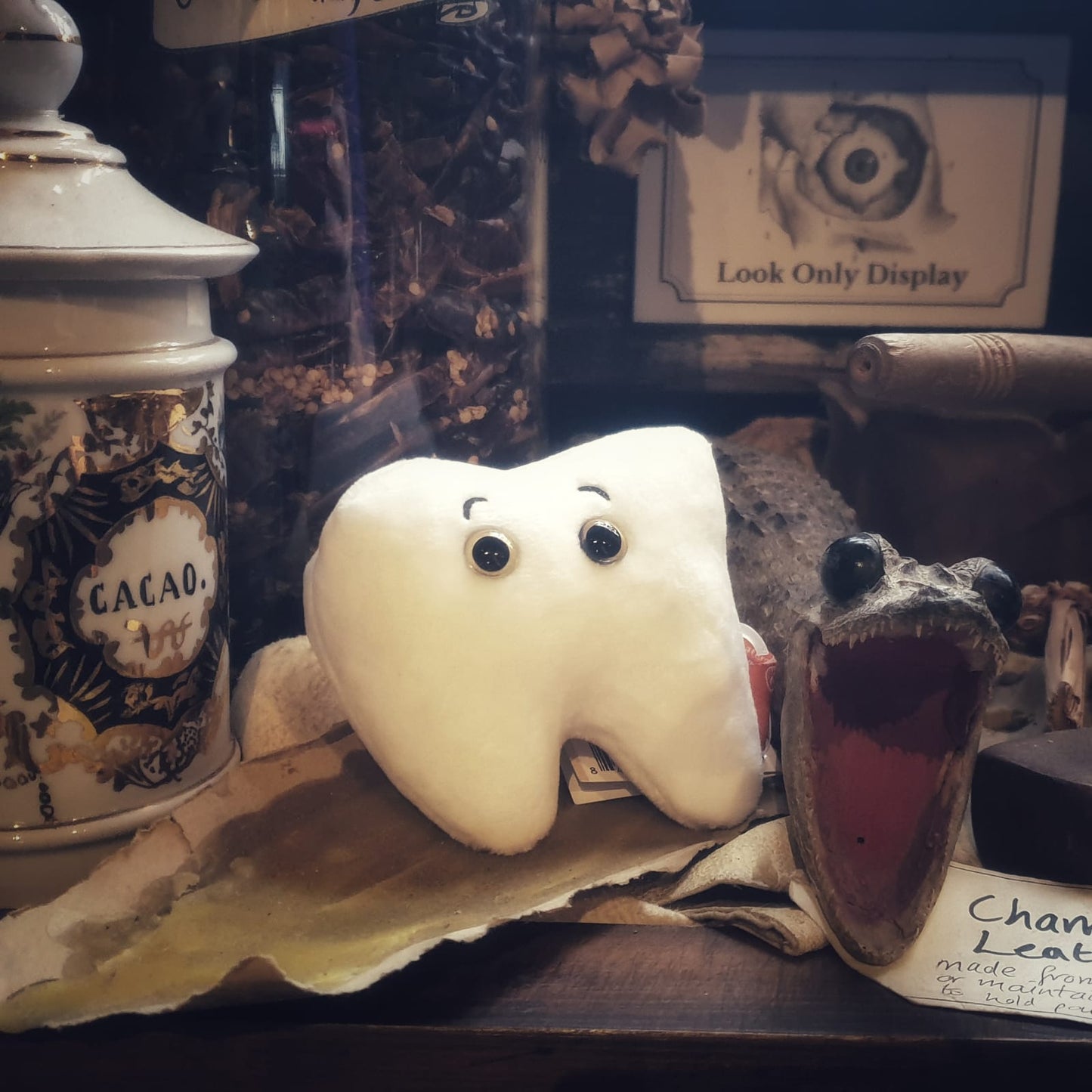 Plush molar tooth with eyes amongst museum objects