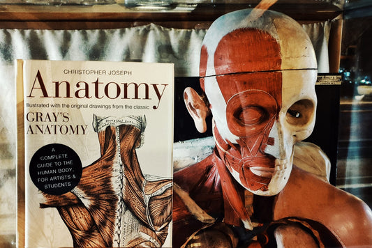 The Anatomy book positioned next to the head of the museum's anatomy model
