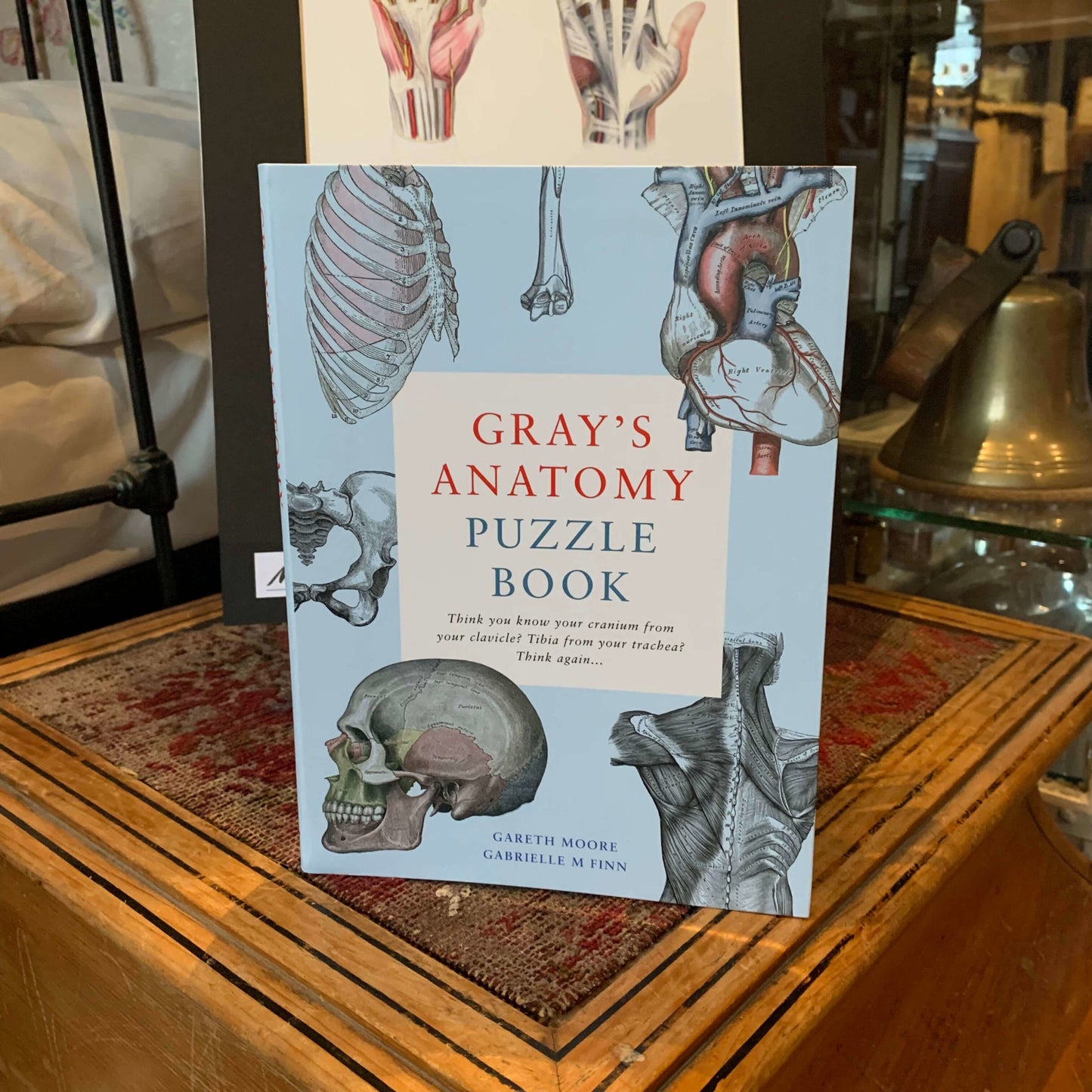 The puzzle book displayed in the museum in front of anatomical drawings