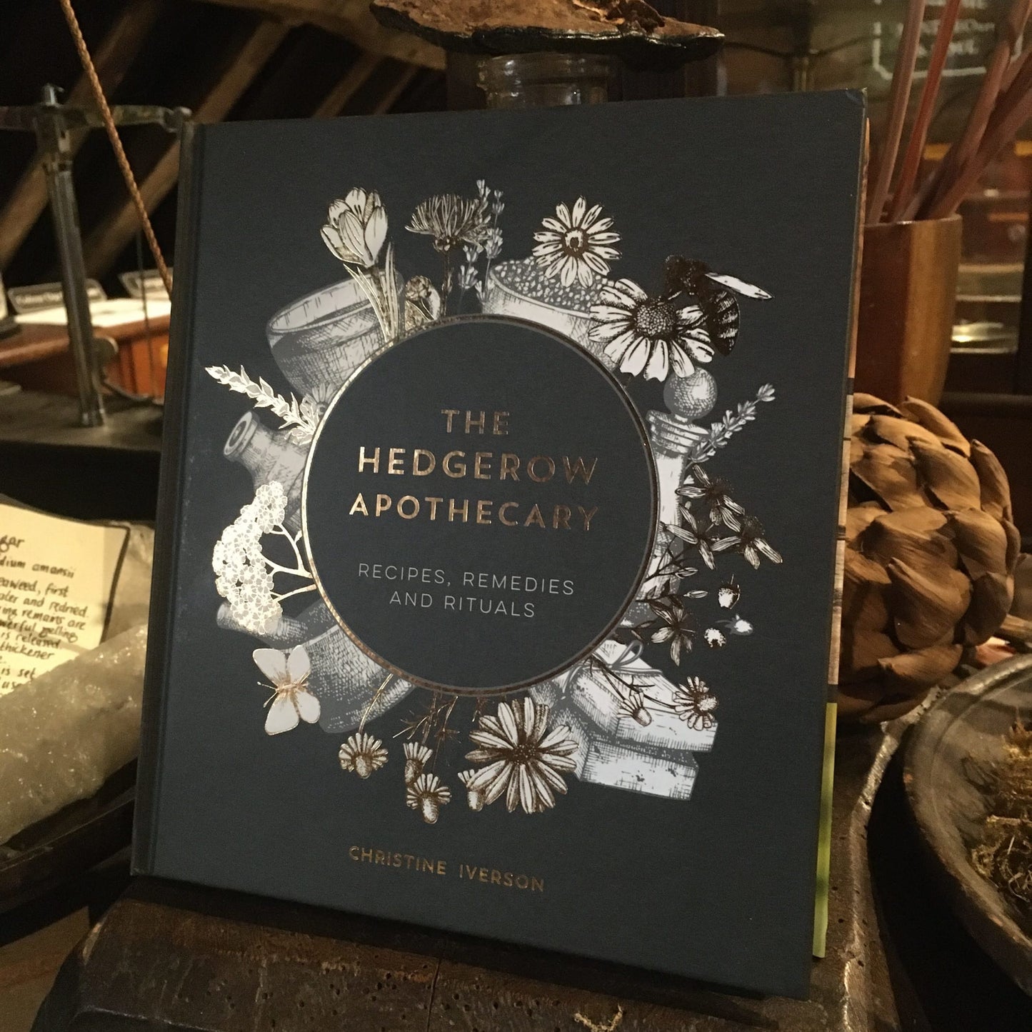 The hardback of The Hedgerow Apothecary on a shelf amongst dried herbs
