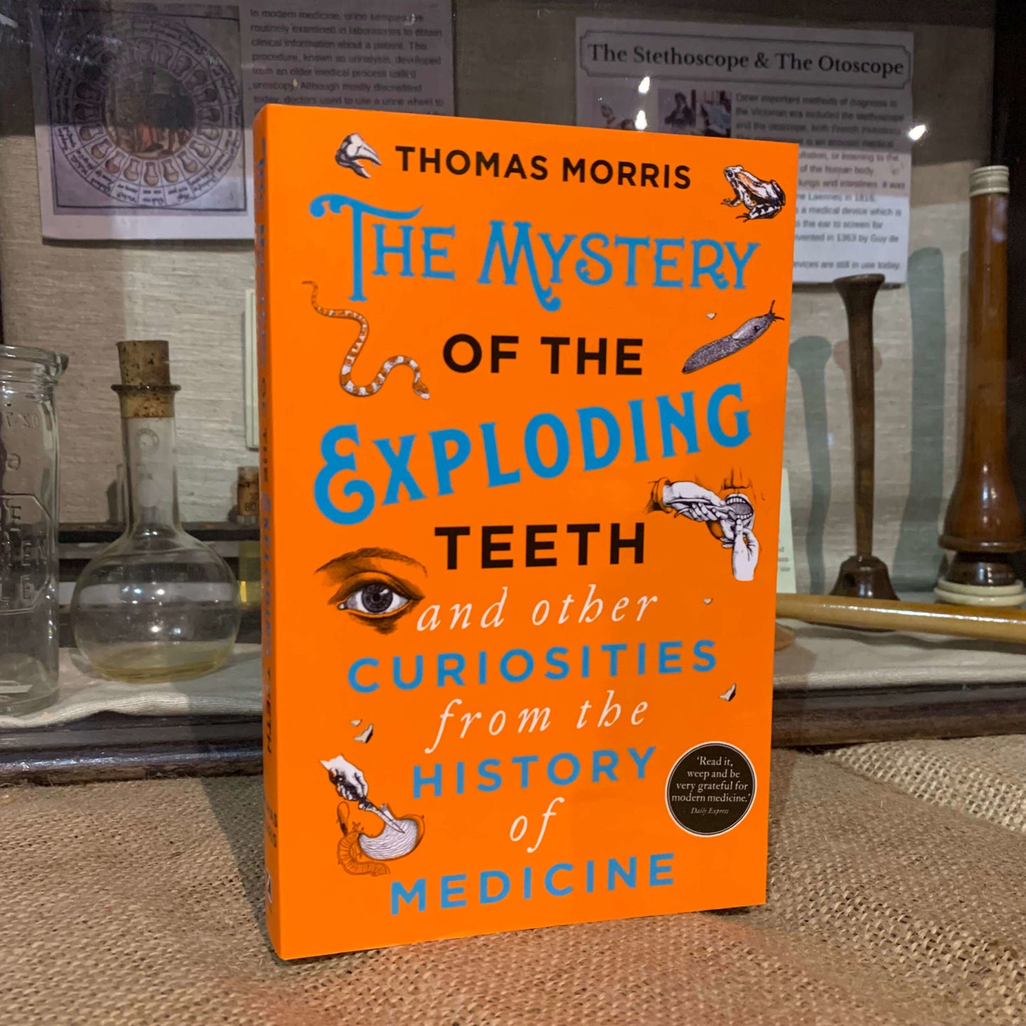 The book The Mystery of the Exploding Teeth displayed within the museum