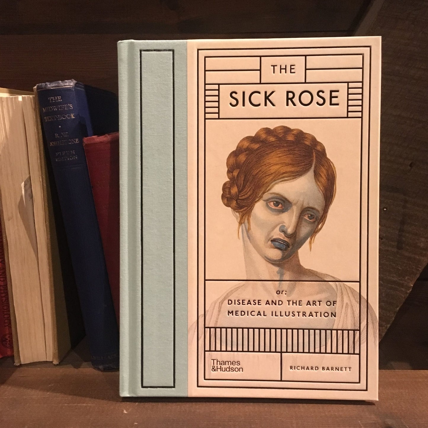 A copy of The Sick Rose on a shelf next to some old hardback books