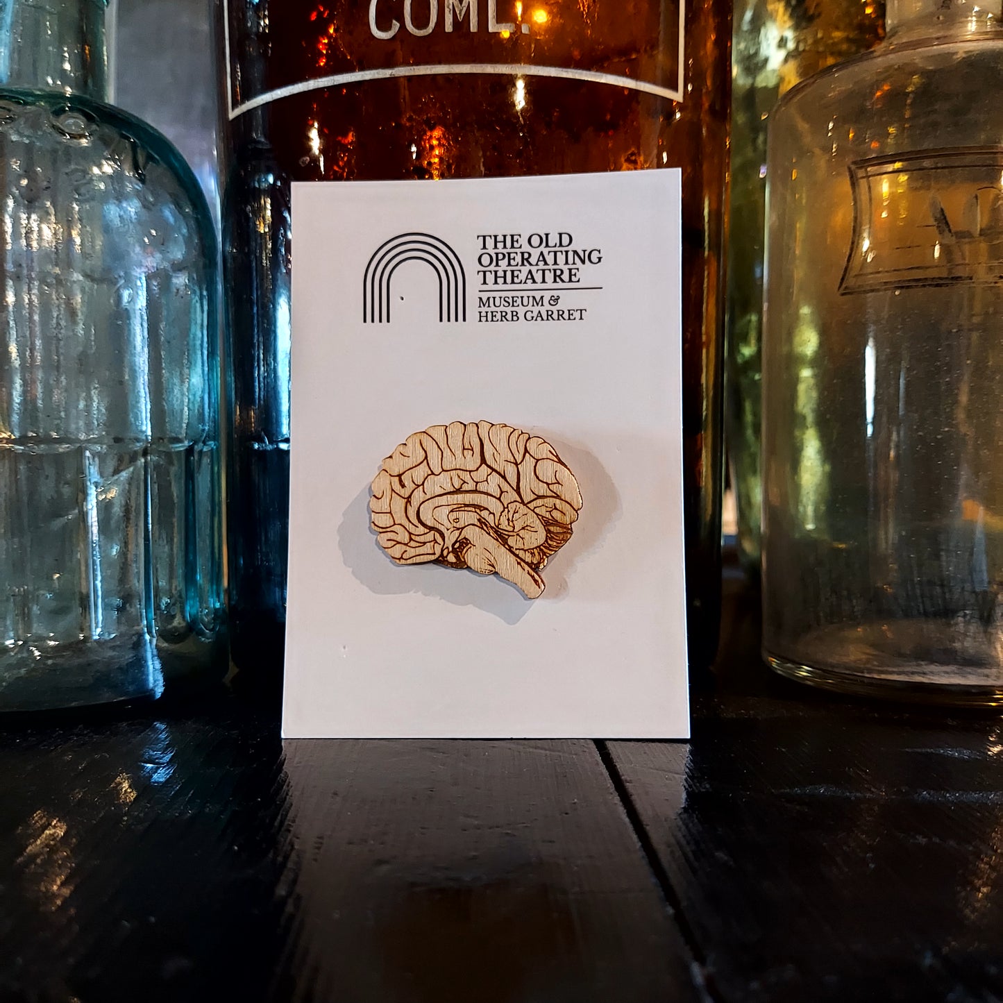 A brooch in the shape of a brain, attached to a piece of white card and placed against old glass medicine bottles