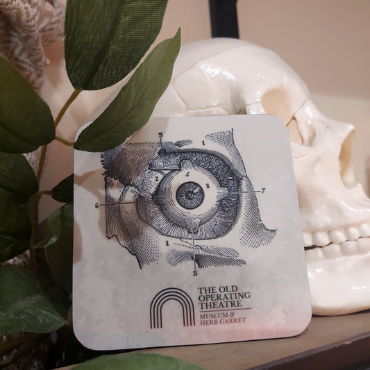 A coaster with an anatomical drawing of an eye, displayed next to a skull and a plant