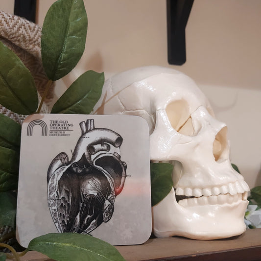 A coaster with an anatomical drawing of an heart, displayed next to a skull and a plant