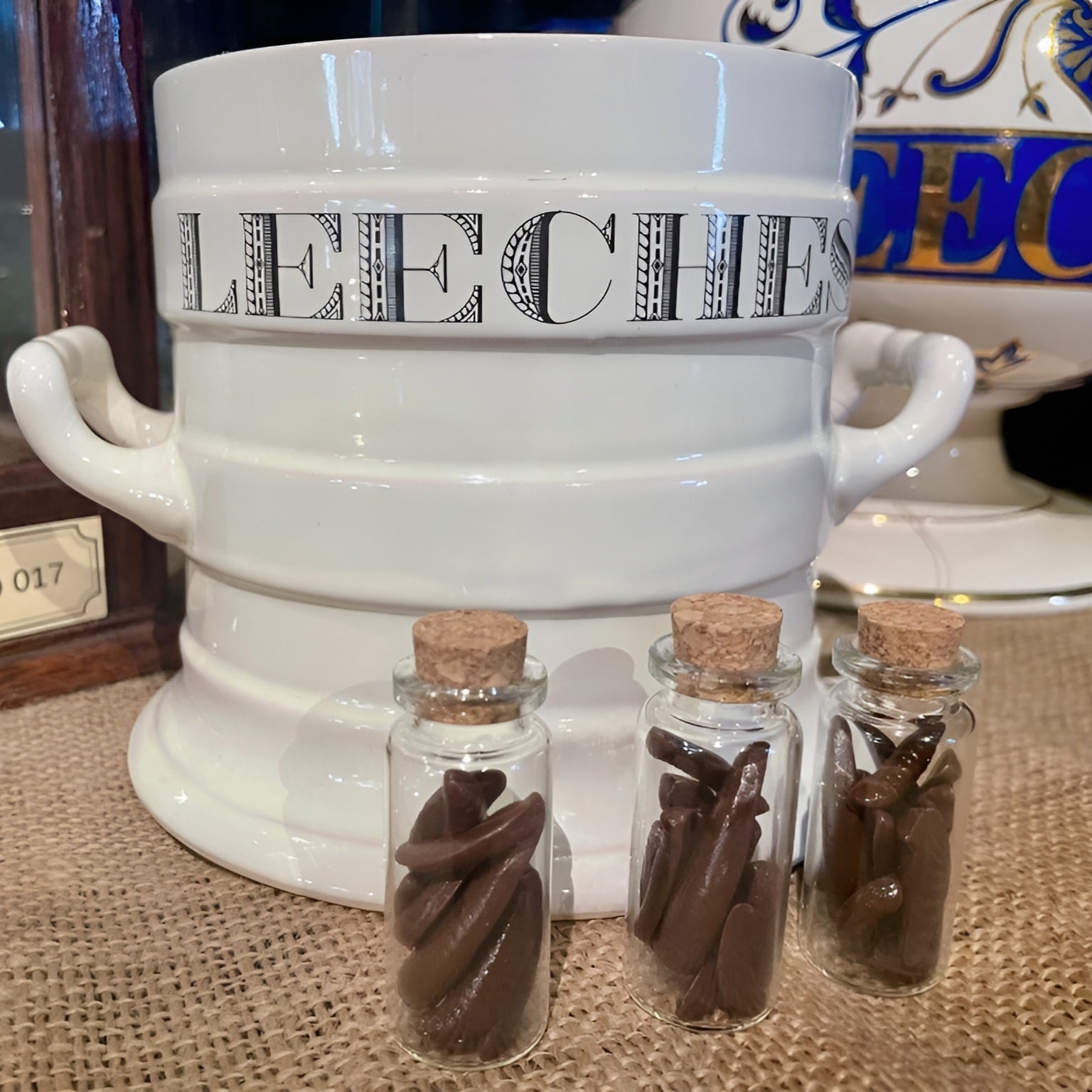 White container labeled 'Leeches' with three small glass bottles containing brown edible leeches on a textured surface.