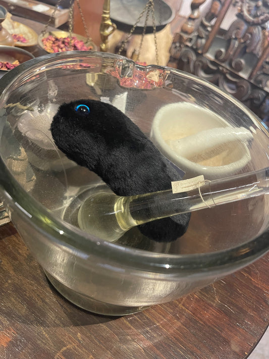 Giant Microbes: Black Death