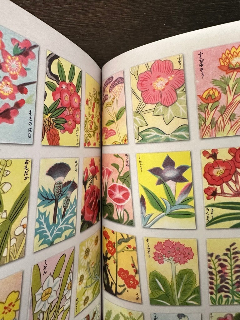 The Curious Collections Sticker Book