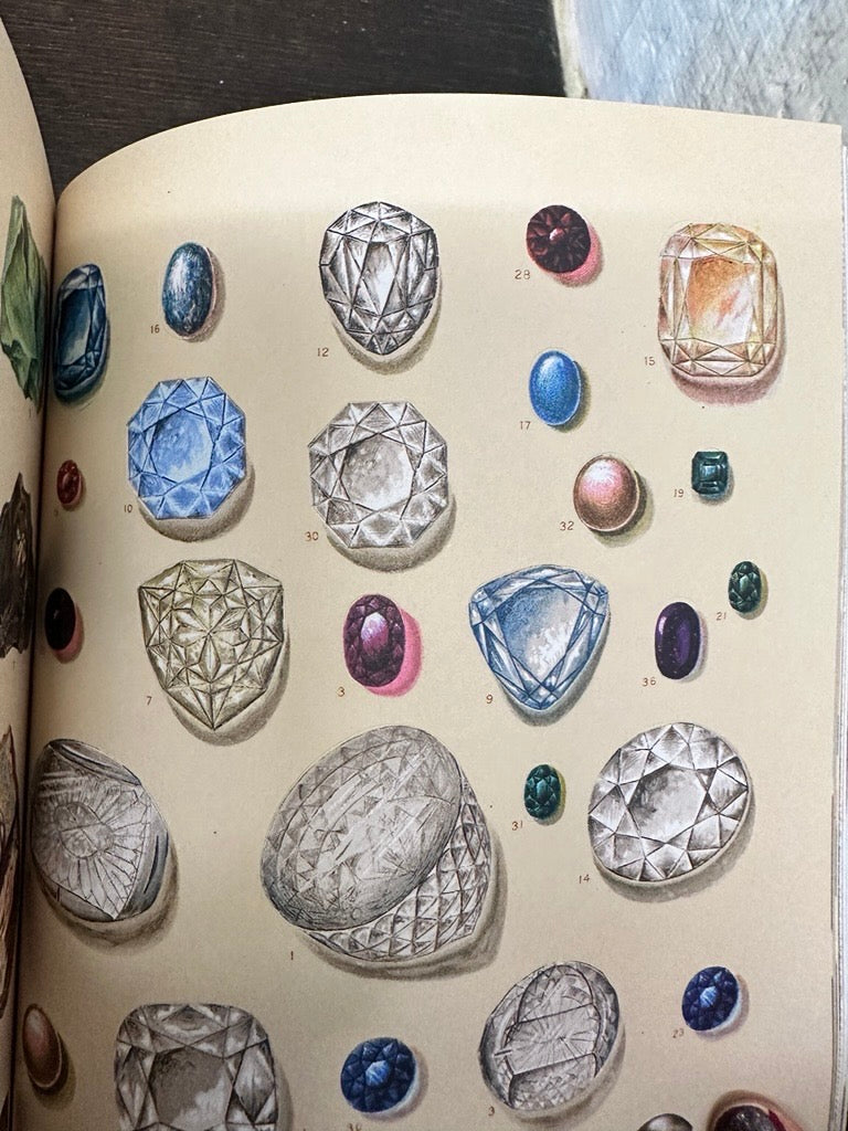 The Curious Collections Sticker Book