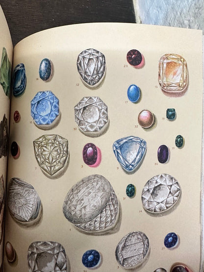 The Curious Collections Sticker Book