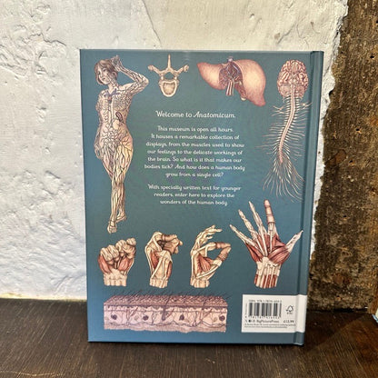 Anatomicum: Junior