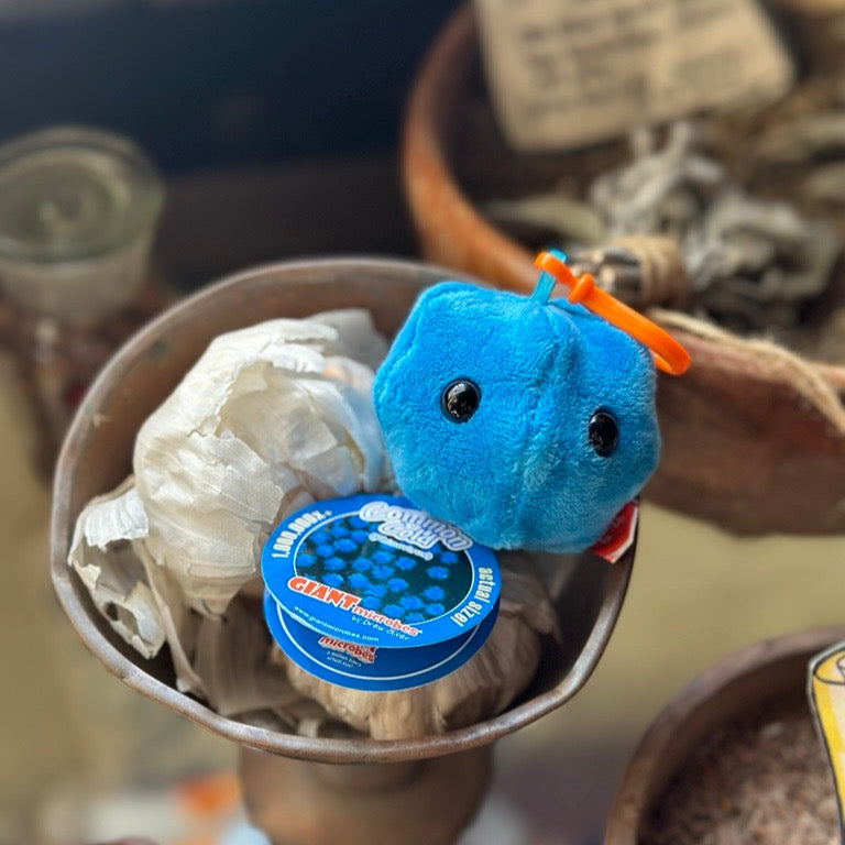 Small blue plush toy keyring on top of a container of garlic