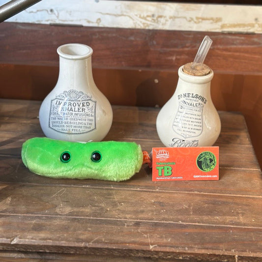 TB green plush toy in front of Victorian inhaler