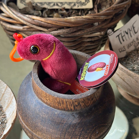 Kidney plush keyring in a wooden container with a tag, surrounded by wicker baskets and text.