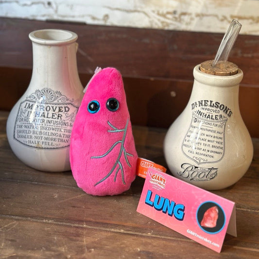 Pink plush toy lung with googly eyes on a wooden surface with vintage inhalers and a fact card.