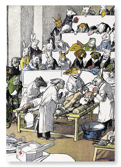 Vivisection of Humans (1899): A4 Art Print