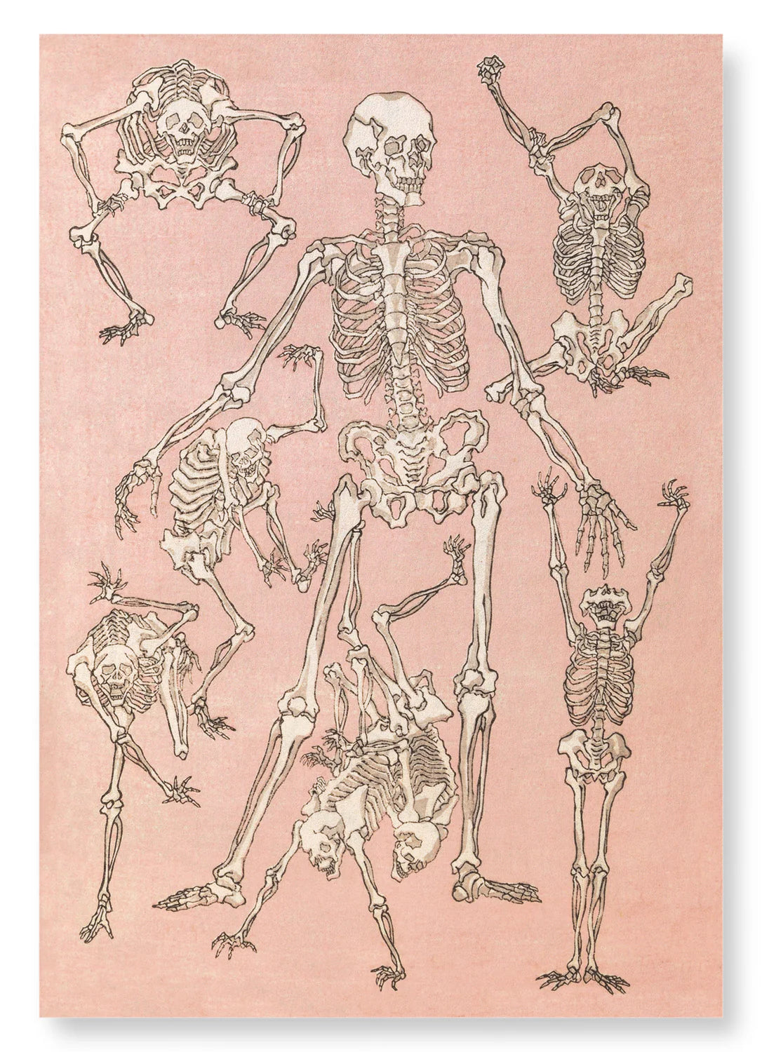 An illustration of seven skeletons in different poses on a pale pink background